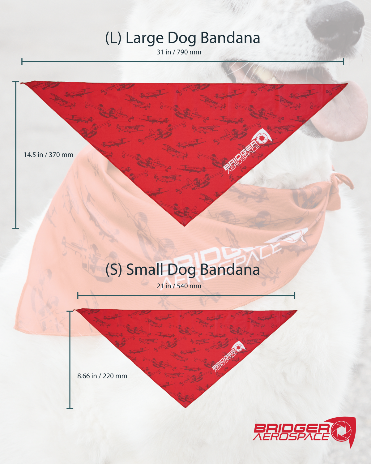 Bridger Aerospace Fleet Dog Bandana