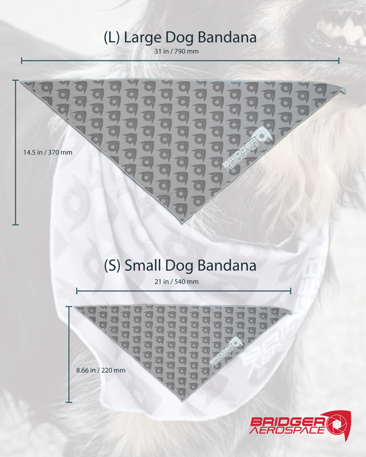 Bridger Aerospace Logo Dog Bandana