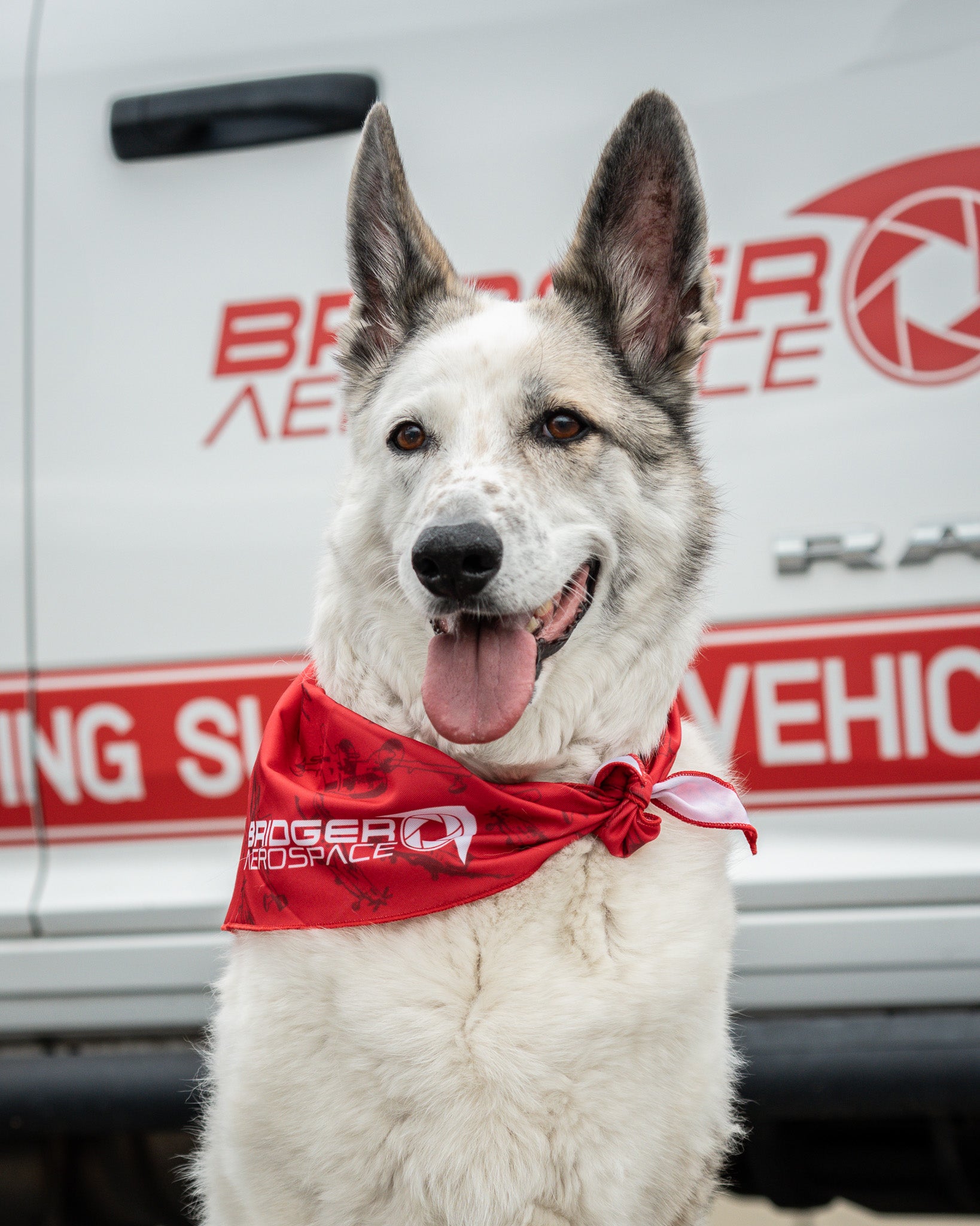 Bridger Aerospace Fleet Dog Bandana