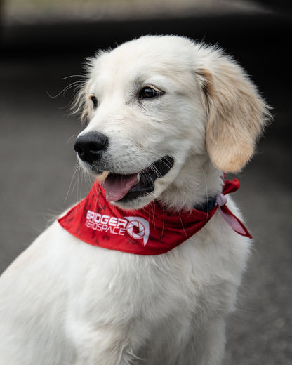 Bridger Aerospace Fleet Dog Bandana