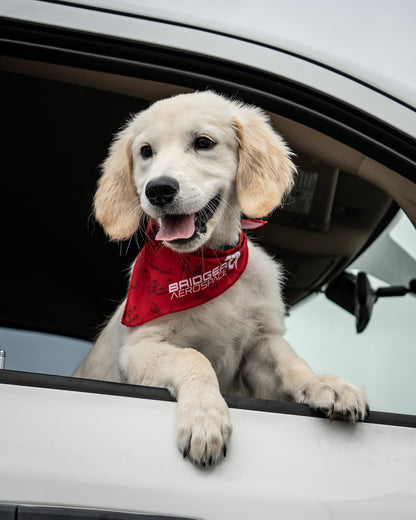 Bridger Aerospace Fleet Dog Bandana