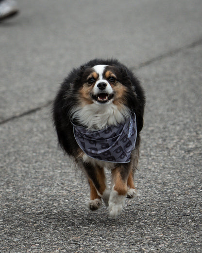 Bridger Aerospace Logo Dog Bandana
