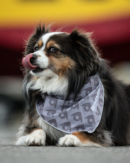 Bridger Aerospace Logo Dog Bandana