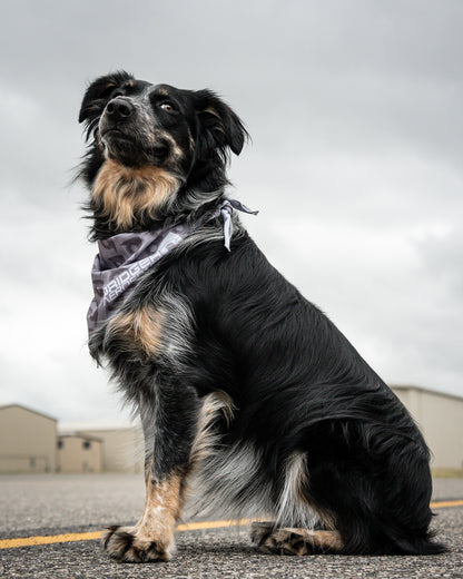 Bridger Aerospace Logo Dog Bandana