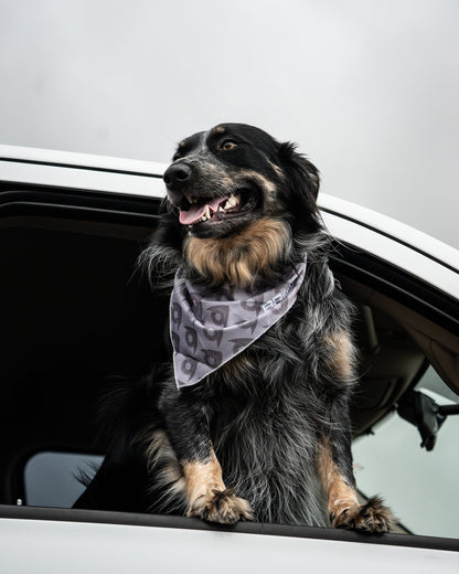 Bridger Aerospace Logo Dog Bandana